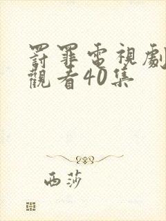 罚罪电视剧免费观看40集