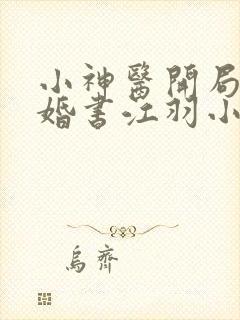 小神医开局九张婚书江羽小说