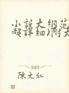 小说大纲范例(超详细)附大纲范例