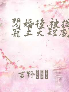 闪婚后,被总裁宠上天短剧全集最新章