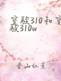 宝骏310和宝骏310w
