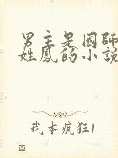 男主是国师女主姓凤的小说