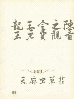 龙王令之陈平殿主免费观看