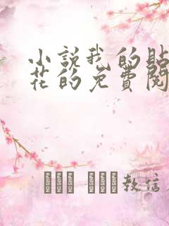 小说我的贴身校花的免费阅读