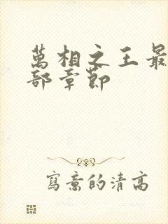 万相之王最新全部章节