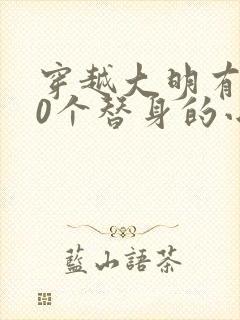 穿越大明有100个替身的小说