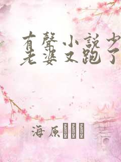 有声小说少帅你老婆又跑了全文免费读