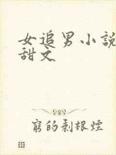 女追男小说校园甜文