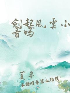 剑起风云小说好看吗