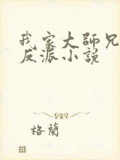 我家大师兄是个反派小说