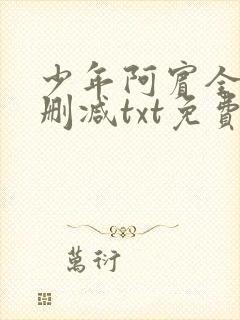 少年阿宾全文无删减txt免费下载