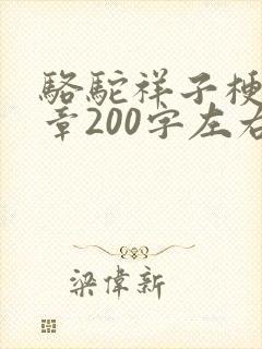 骆驼祥子梗概每章200字左右