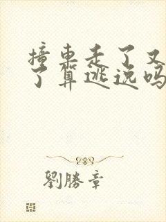 撞车走了又回来了算逃逸吗