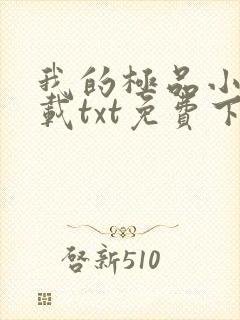 我的极品小姨下载txt免费下载