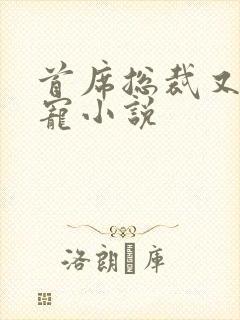 首席总裁又甜又宠小说