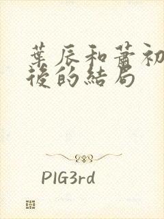 叶辰和萧初然最后的结局