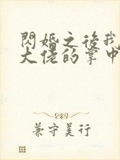 闪婚之后我成了大佬的掌中之物