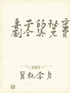 妻子的秘密电视剧全集免费观看