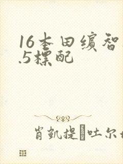 16本田缤智1.5标配