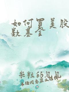 如何买美股 指数基金