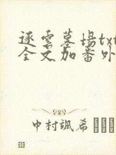 逐云墓场txt全文加番外