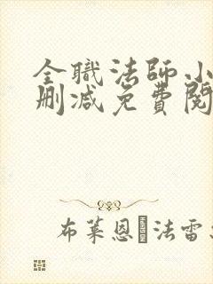 全职法师小说无删减免费阅读