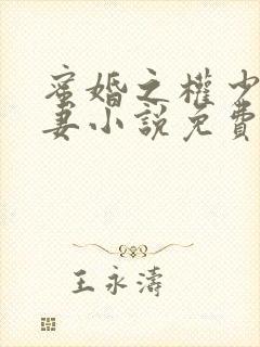 蜜婚之权少的爱妻小说免费阅读