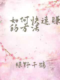 如何快速赚到钱的方法