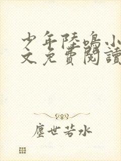 少年陆鸣小说全文免费阅读