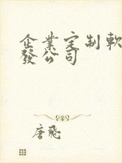 企业定制软件开发公司