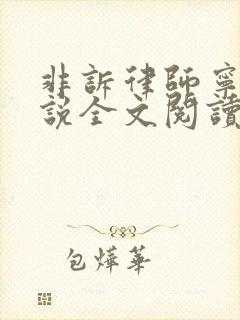 非诉律师宁韵小说全文阅读笔趣阁