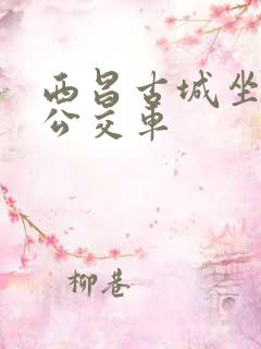 西昌古城坐几路公交车