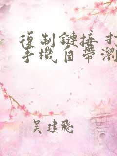 复制链接 打开手机自带浏览器 搜索链接下载