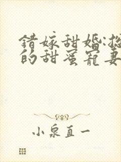 错嫁甜婚:总裁的甜蜜宠妻