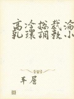 高冷总裁沦为奴乳环调教小说