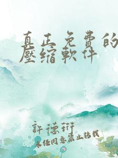 真正免费的视频压缩软件