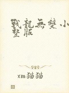 战龙无双小说完整版