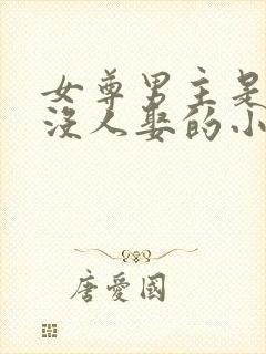 女尊男主是将军没人娶的小说