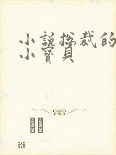 小说总裁的私有小宝贝