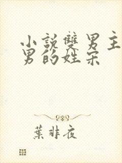 小说双男主一个男的姓宋