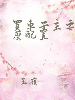 买车子主要看什么配置