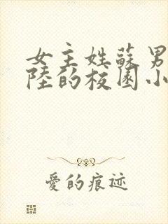 女主姓苏男主姓陆的校园小说