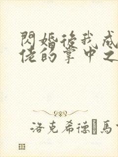 闪婚后我成了大佬的掌中之物