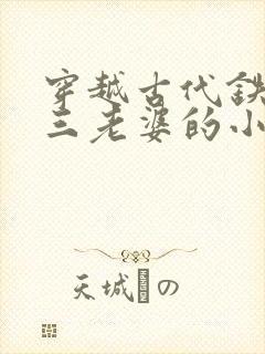 穿越古代铁匠选三老婆的小说