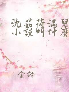 沈茹荷满儿原著小说叫什么名字