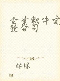 企业软件定制开发公司