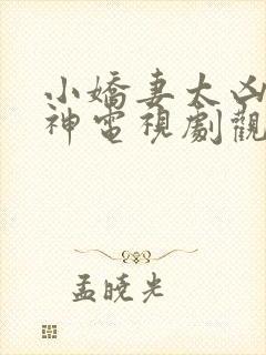 小娇妻太凶陆岩神电视剧观看