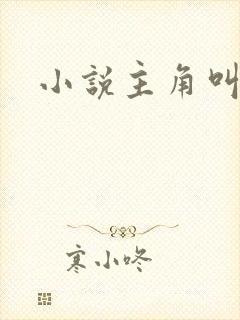 小说主角叫周平