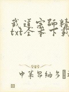 武道宗师精校版txt全本下载