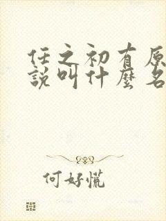 任之初有原著小说叫什么名字